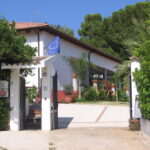 About conte ruggiero school (4)