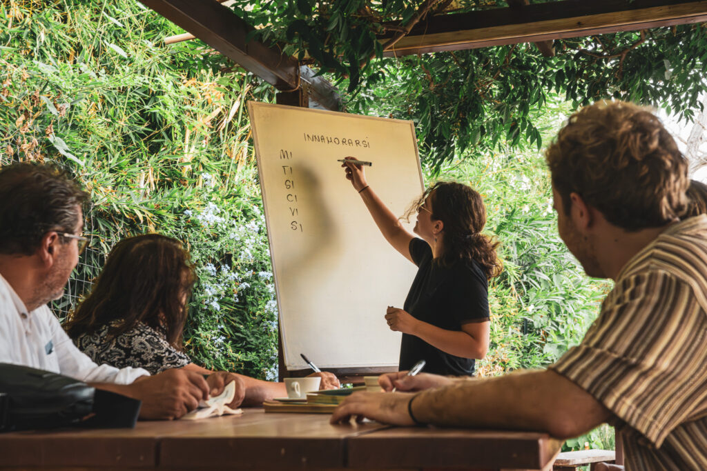 dsc 0936 enhanced nr